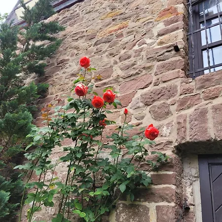 Gemuetliche In Historischem Kulturdenkmal, 62qm