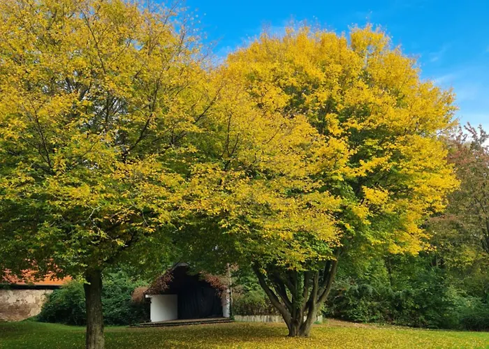 Gemuetliche In Historischem Kulturdenkmal, 62qm Διαμέρισμα *
