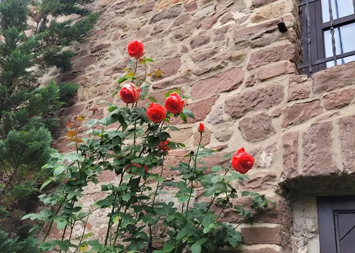 Gemuetliche In Historischem Kulturdenkmal, 62qm